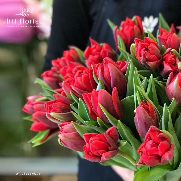 25 mẫu tranh hoa tulip đẹp + ý nghĩa mỗi màu hoa - Tranh AmiA