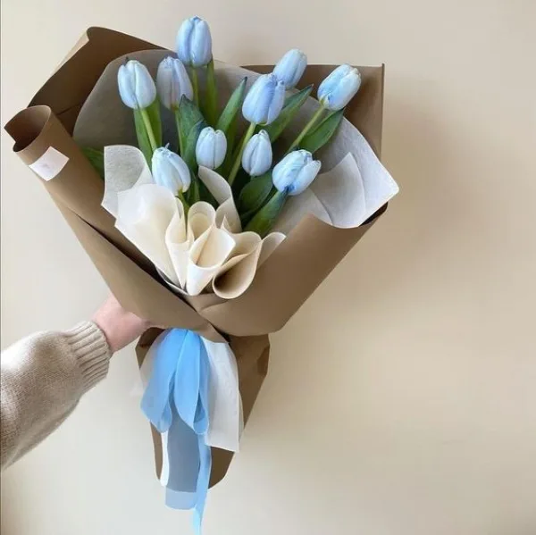 Hoa tulip xanh đại diện cho sự bình yên, niềm hy vọng
