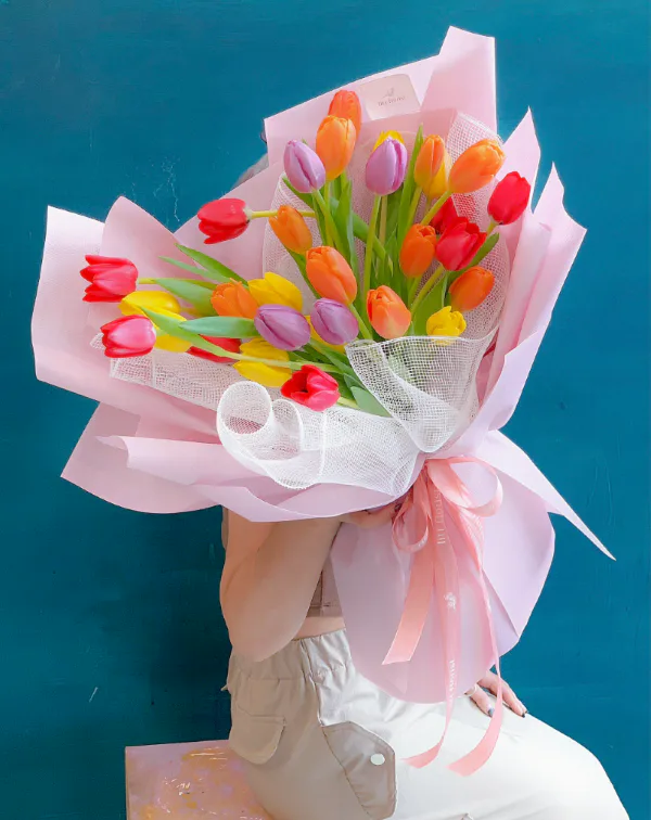Hoa tulip mix nhiều màu 
